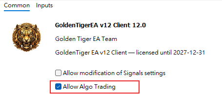 Settings window, "Common" tab: tick "Allow Algo Trading"
